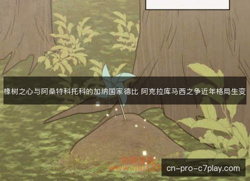 橡树之心与阿桑特科托科的加纳国家德比 阿克拉库马西之争近年格局生变